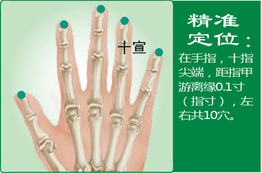 30、十宣.jpg