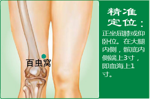 32、百虫窝.jpg