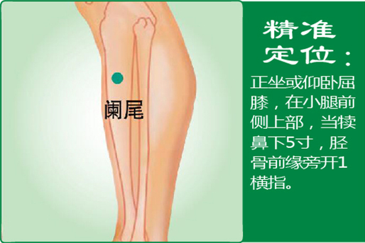 35、阑尾.jpg