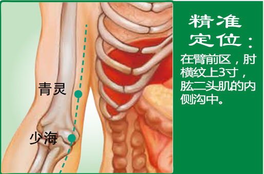 青灵1.png