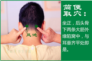 风池13。1.jpg