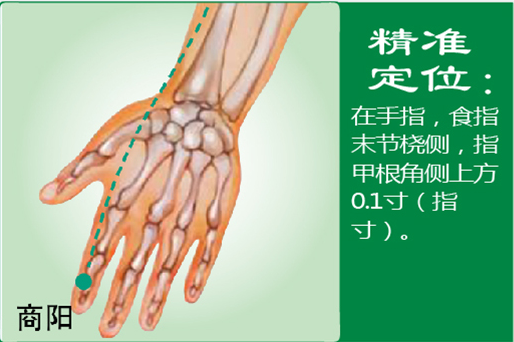 商阳1.png