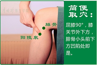 阳陵泉1.jpg