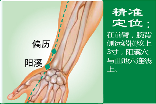 偏历1.png