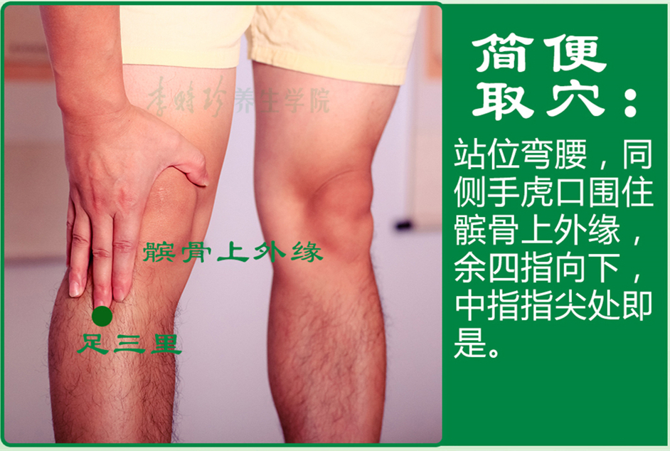 足三里_2.jpg