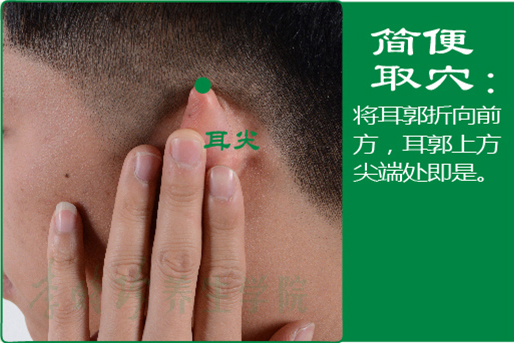 4、耳尖2.jpg