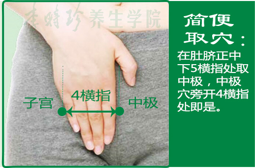 13、子宫2.jpg