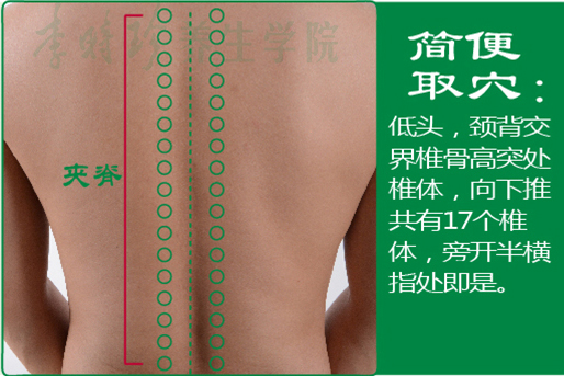15、夹脊2.jpg