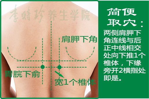 16、胃脘下俞2.jpg