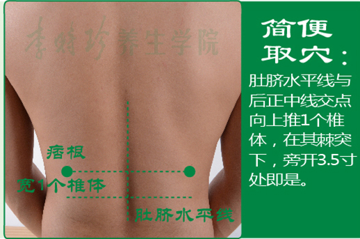 17、痞根2.jpg
