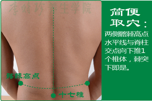 19、十七椎2.jpg