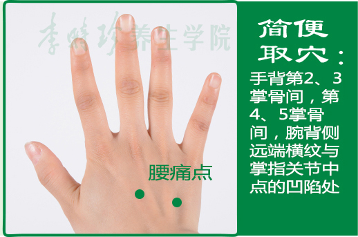 26、腰痛点2.jpg
