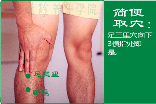 35、阑尾2.jpg