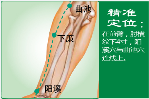 下廉1.png