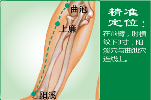 上廉1.png