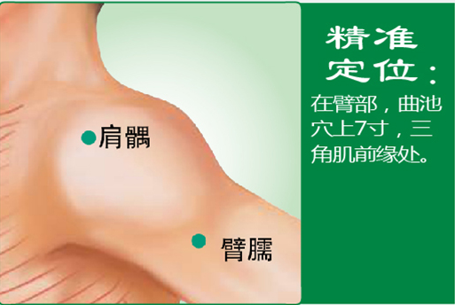 臂臑1.png