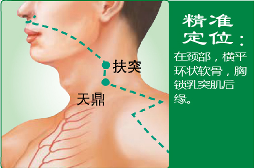 天鼎1.png