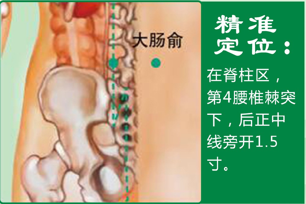 1、大肠俞.jpg
