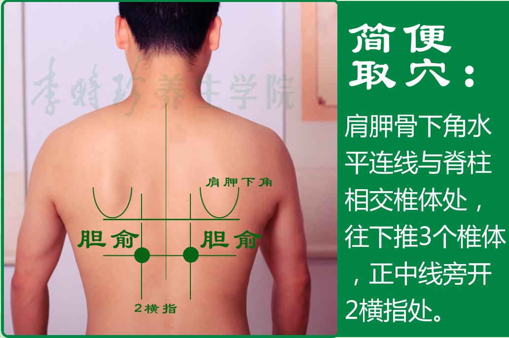 2、胆俞2.jpg