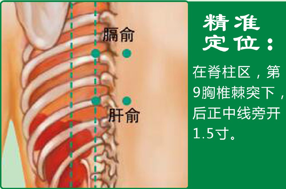 4、肝俞.jpg