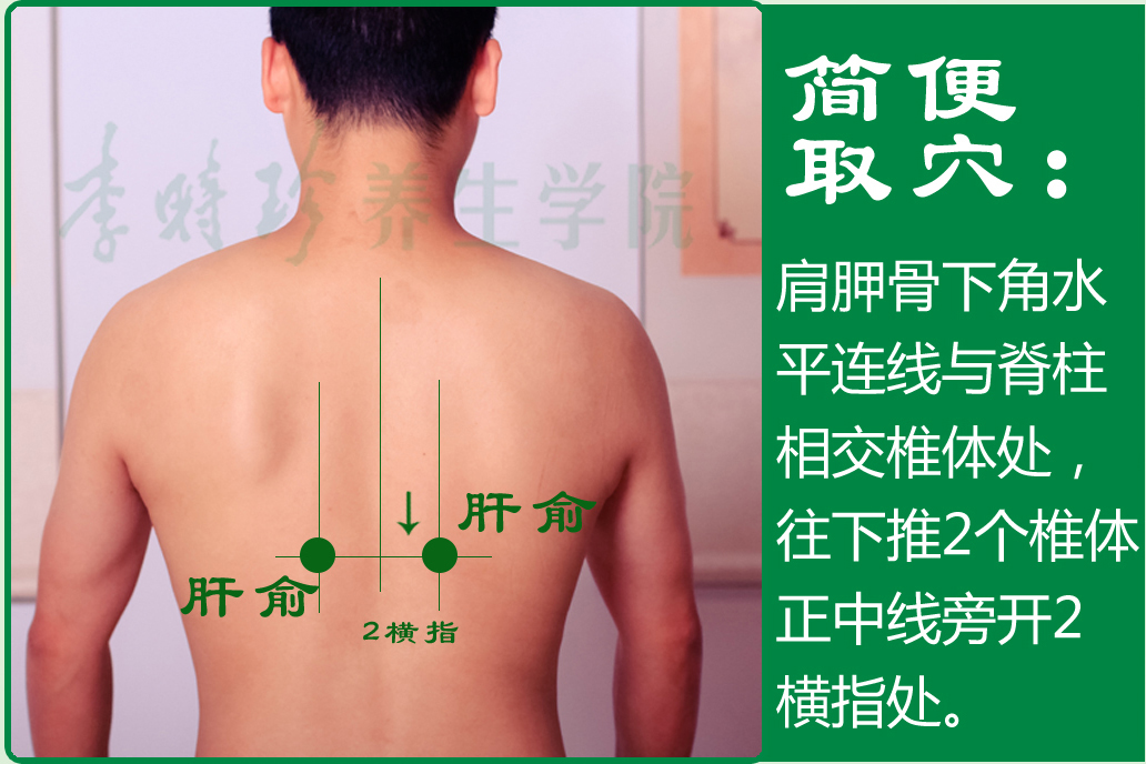 4、肝俞2.jpg