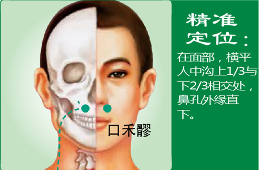口禾髎1.png