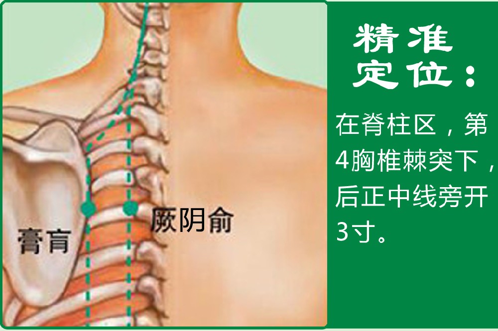 5、膏肓.jpg
