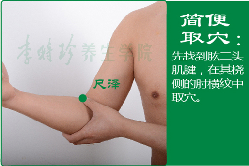 尺泽_2.jpg