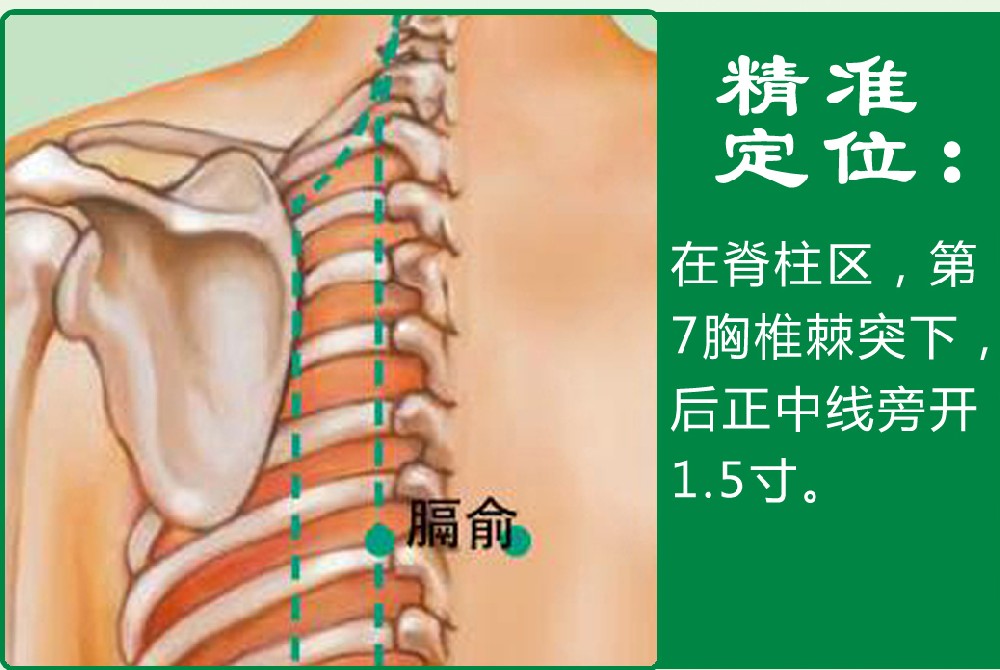 6、膈俞.jpg