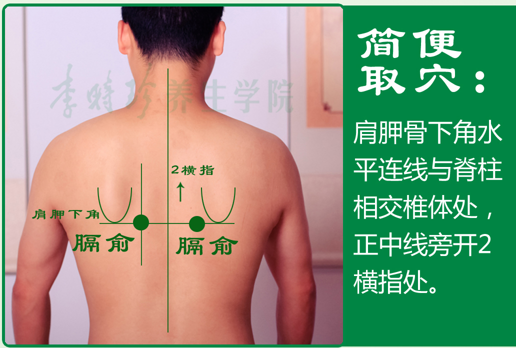 6、膈俞2.jpg
