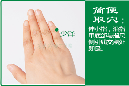 少泽_2.jpg