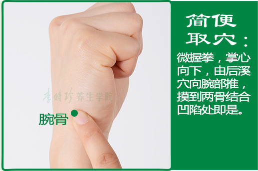 腕骨_2.jpg