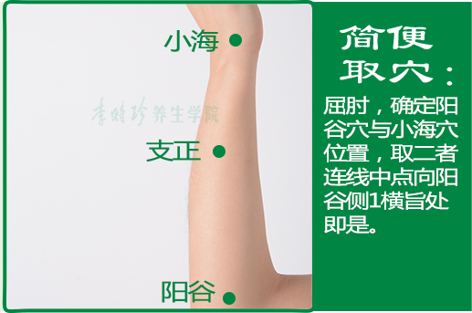 支正2.jpg