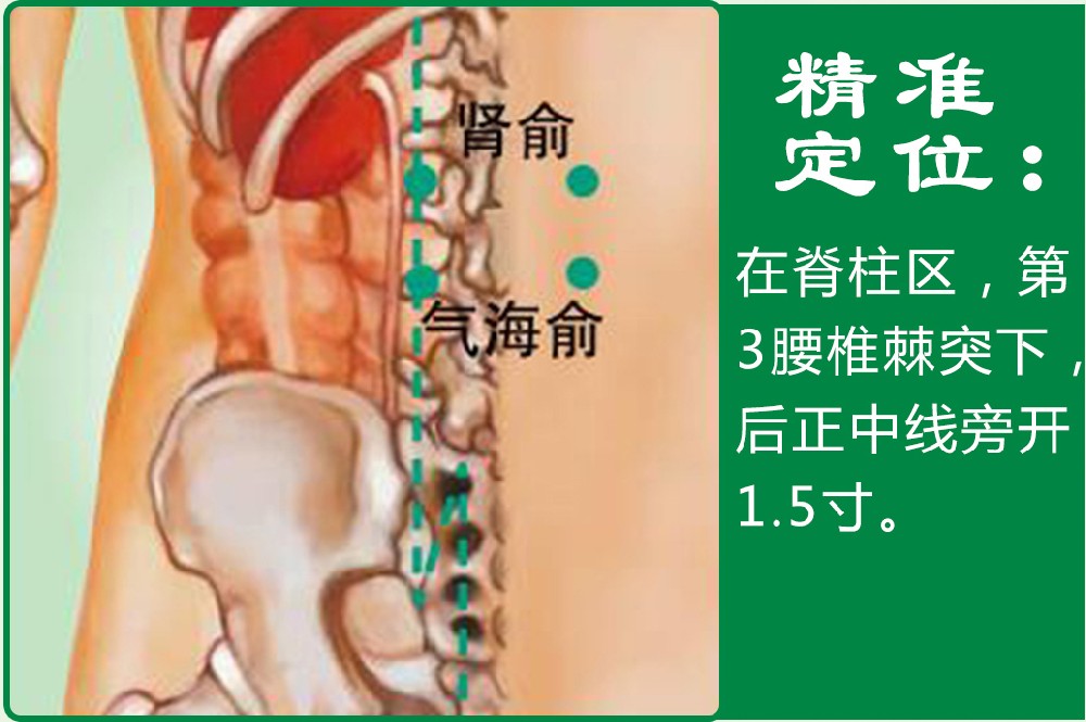 9、气海俞.jpg