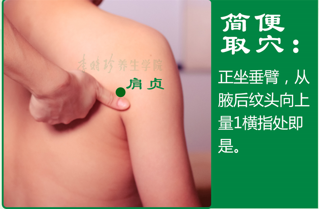 肩贞_2.jpg
