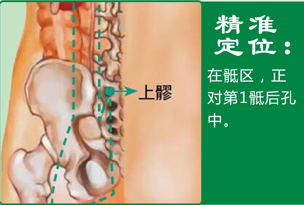 11、上髎.jpg