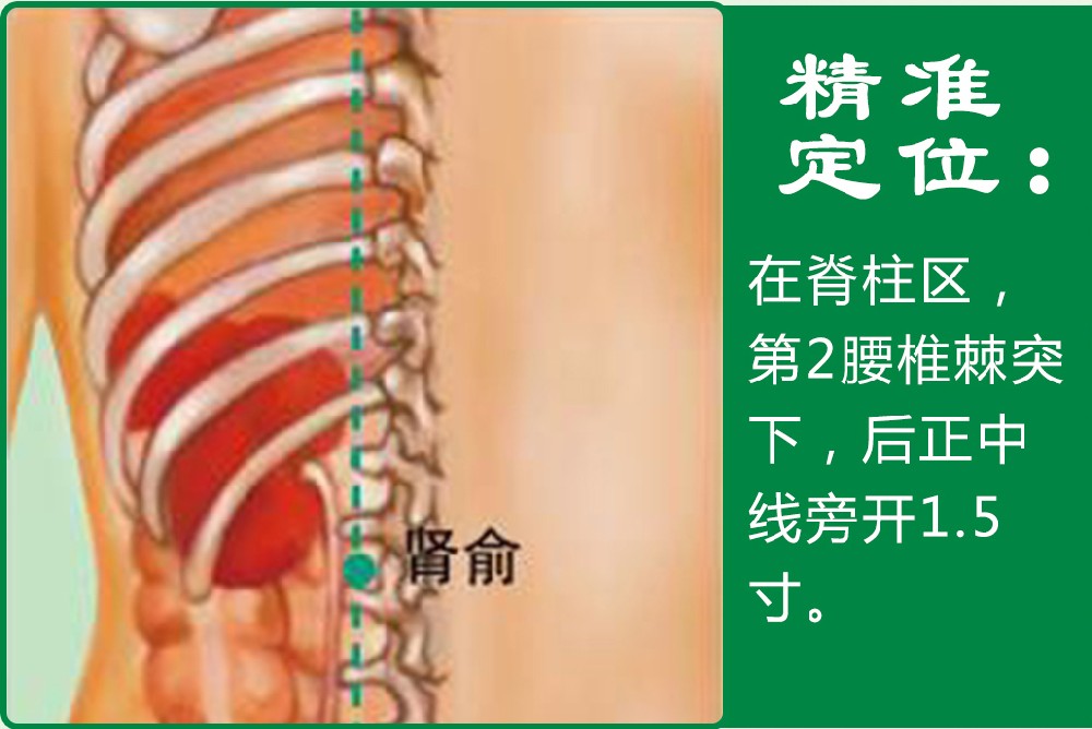 12、肾俞.jpg