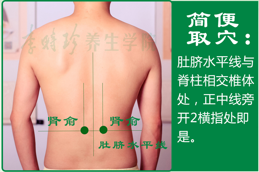 12、肾俞2.jpg