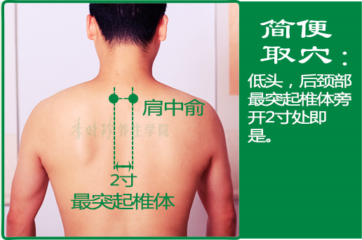 肩中俞_2.jpg