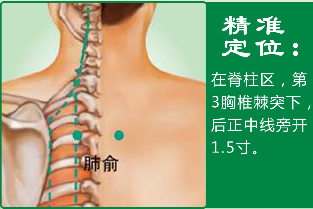 20、肺俞.jpg
