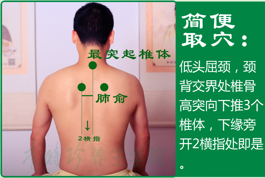 20、肺俞2.jpg