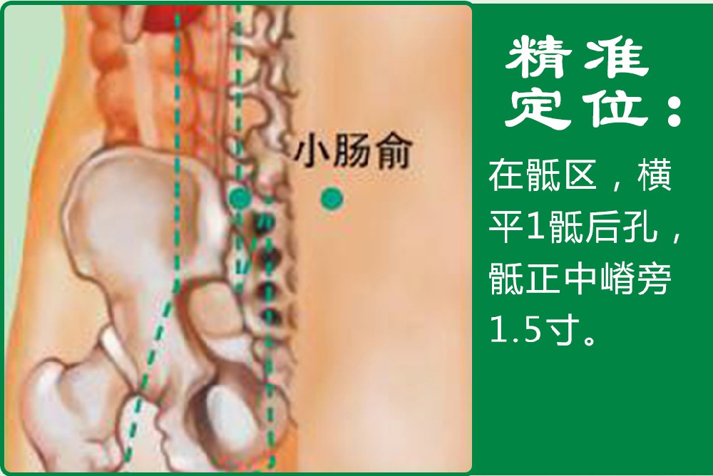 15、小肠俞.jpg