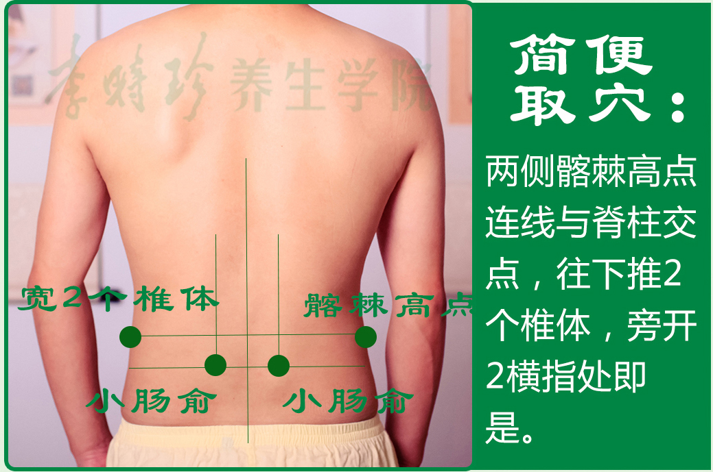 15、小肠俞2.jpg