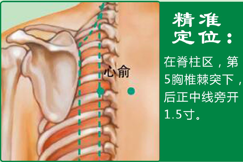 16、心俞.jpg
