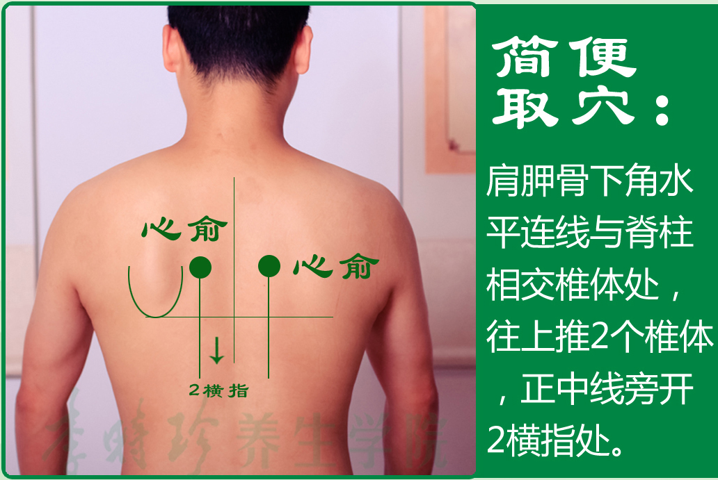 16、心俞2.jpg