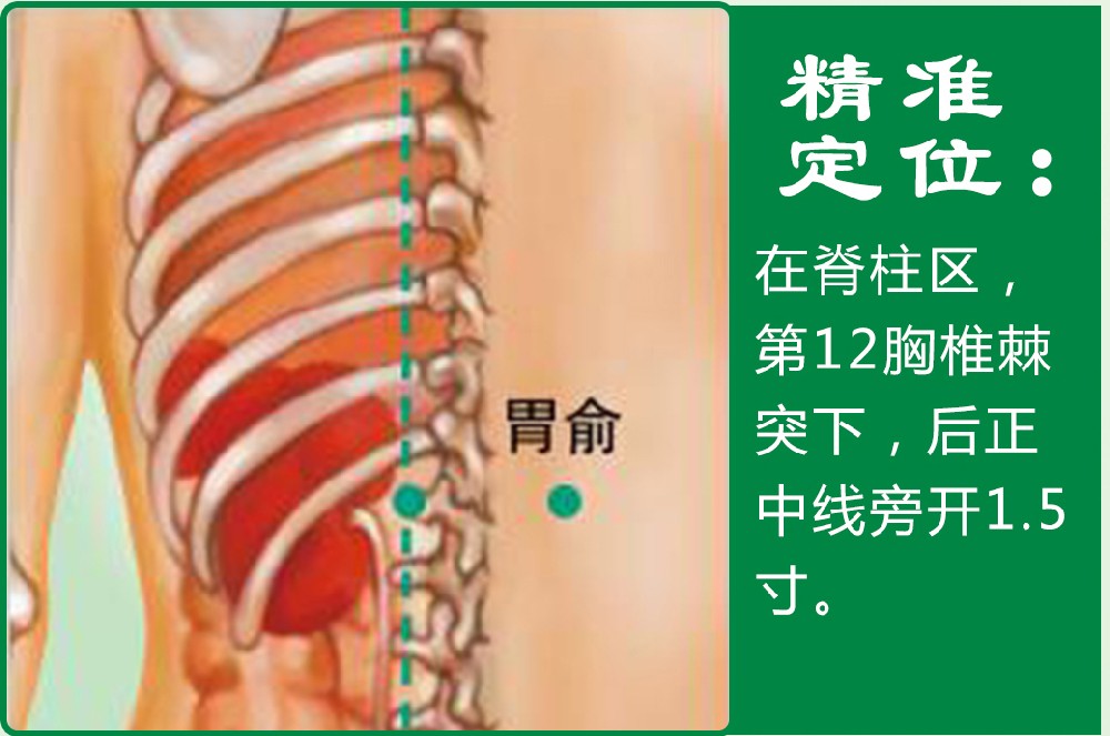 19、胃俞.jpg