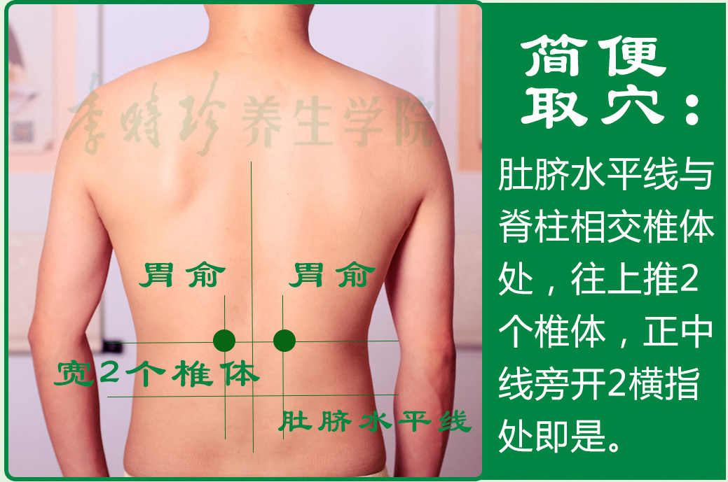19、胃俞2.jpg