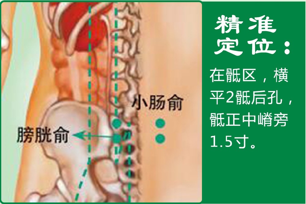 22、膀胱俞.jpg