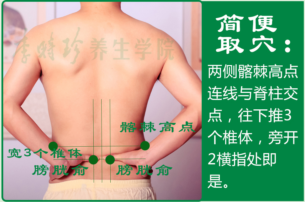 22、膀胱俞2.jpg