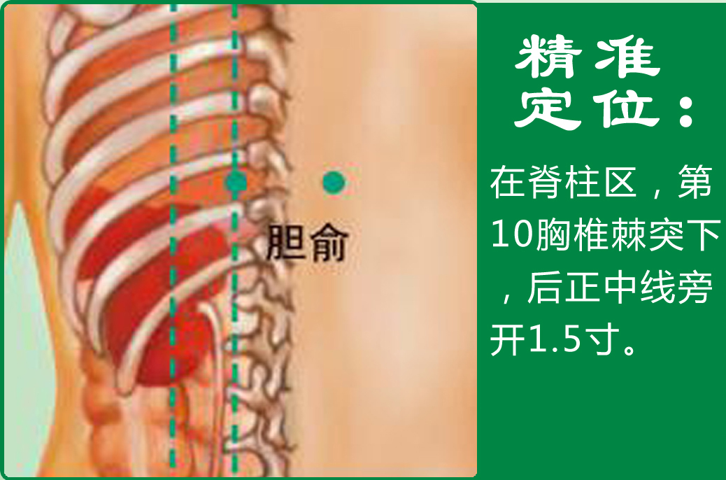 2、胆俞.jpg